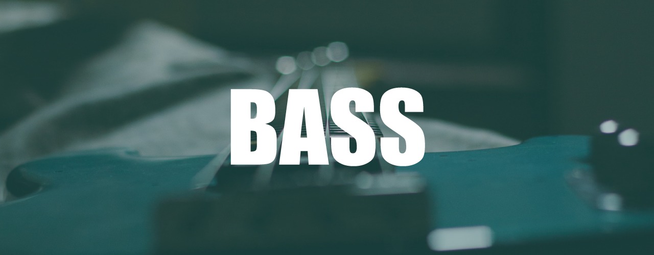 ik multimedia modo bass trial