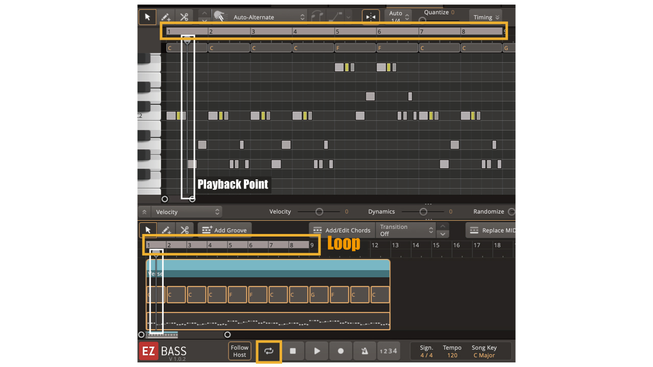 trilian vst midi